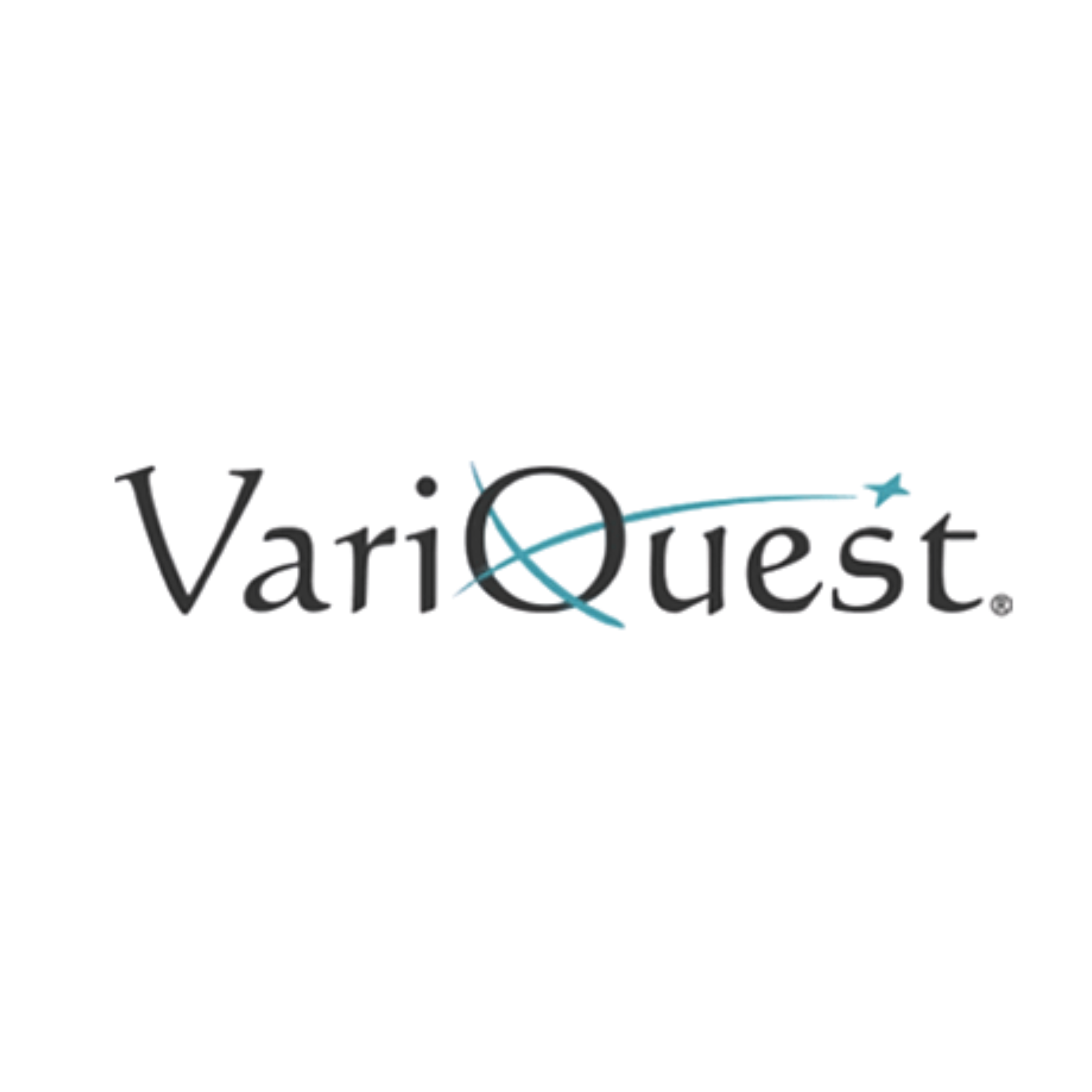 VariQuest Logo